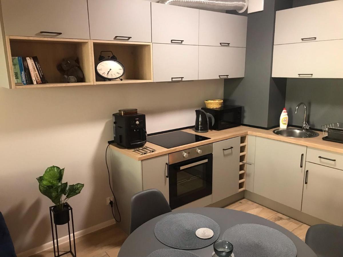 Apartament Holenderski Z Prywatnym Miejscem Postojowym W Garazu Košalín Exteriér fotografie